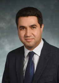 Reza Farzaneh portrait