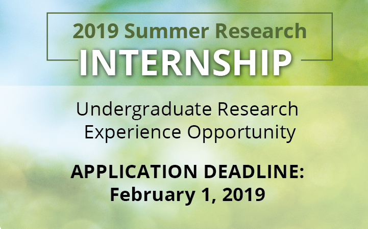 click here to apply for summer internship