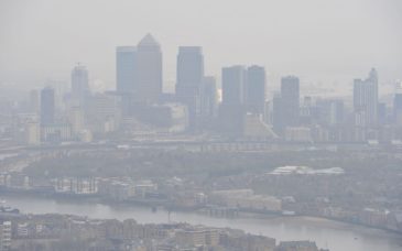 photo of smog