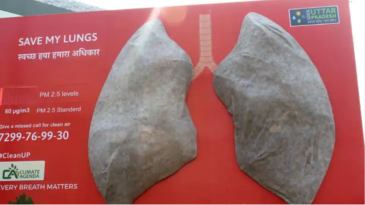 photo of black lungs
