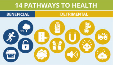 Graphic image of pathways to health. Links to publication that explains information.