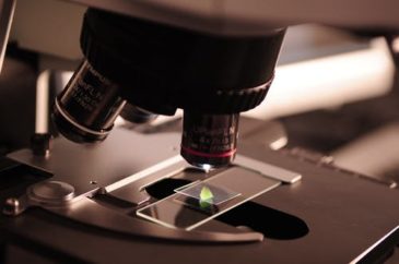 image of microscope