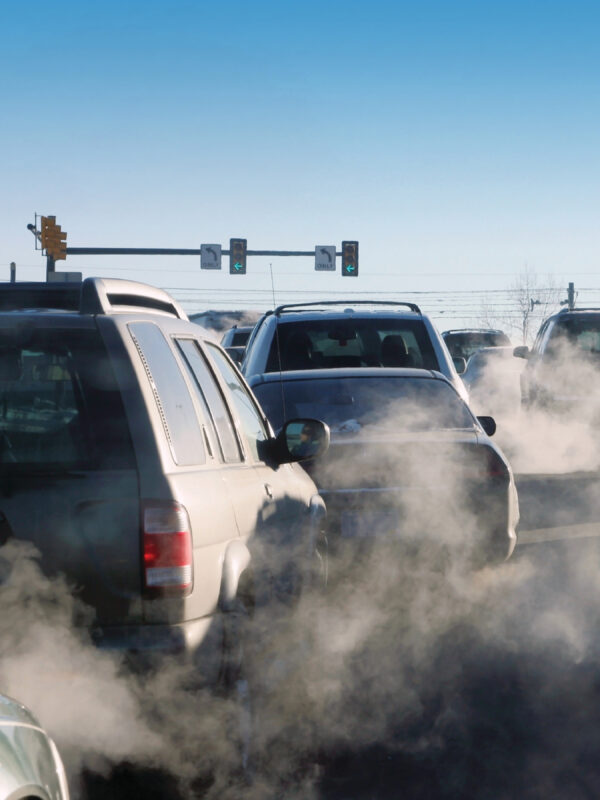 CARTEEH-Funded Study Produces Systematic Evidence Map on Policies to Reduce Traffic-Related Air Pollution
